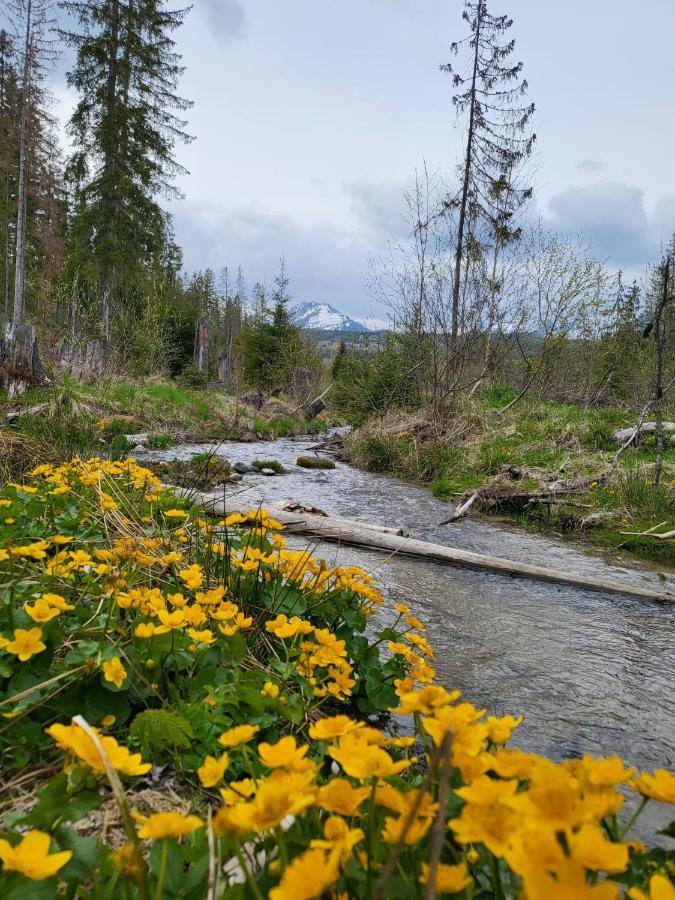 Apartment In Tatranska Strba/Near Strbske Pleso With Free Parking Экстерьер фото