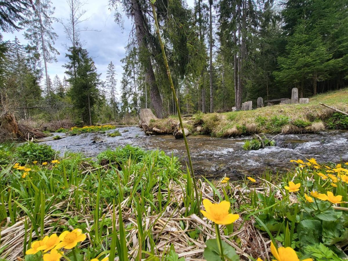 Apartment In Tatranska Strba/Near Strbske Pleso With Free Parking Экстерьер фото